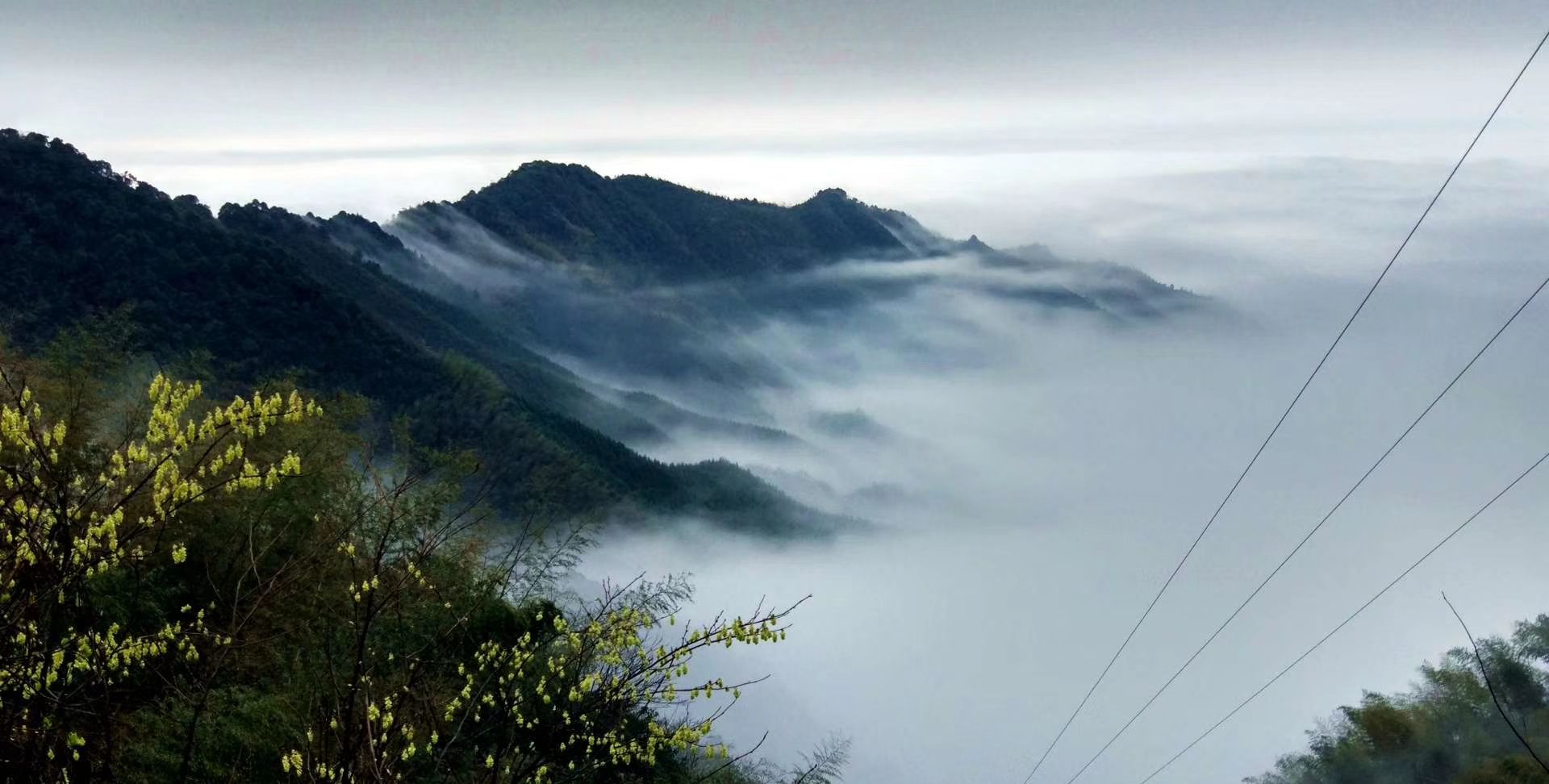 在深山偶遇云海,赶紧拍下来,太漂亮了,像是人间仙境