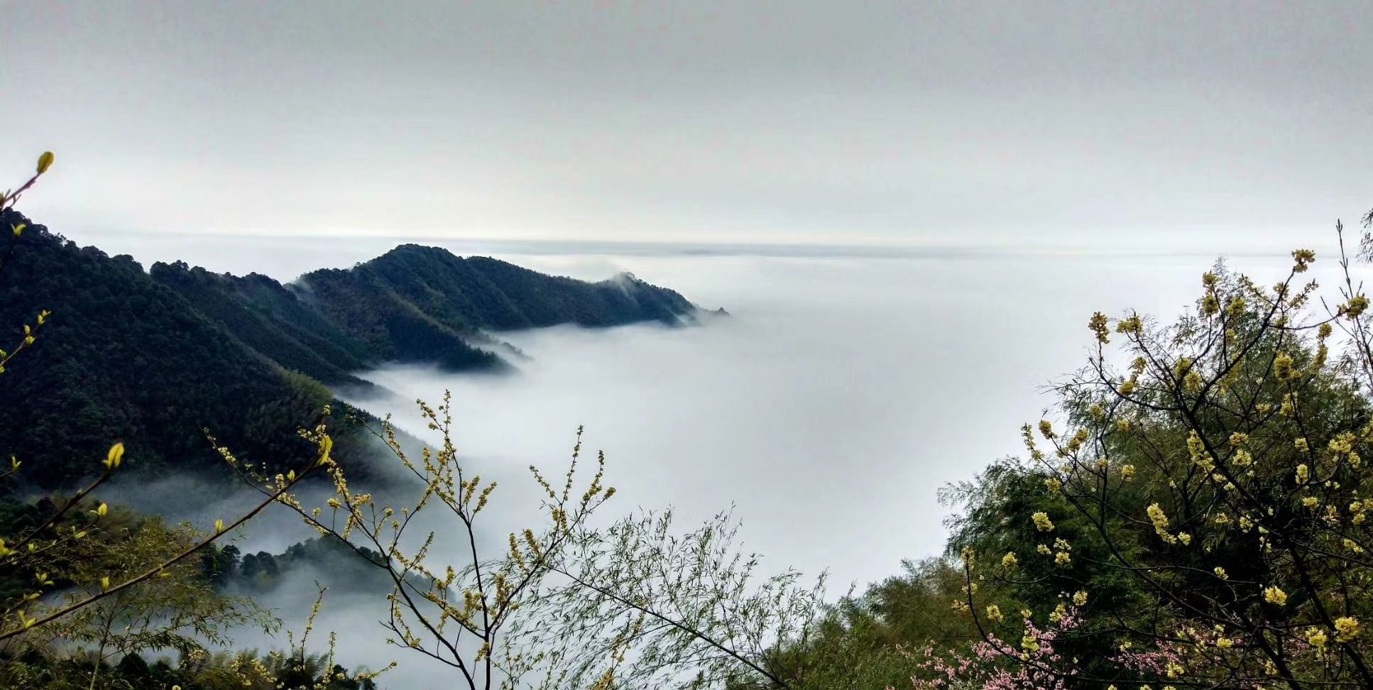 在深山偶遇云海,赶紧拍下来,太漂亮了,像是人间仙境