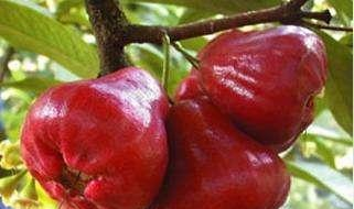 这6种稀有的"红色"水果!全吃过,真是妥妥的"土豪"啦!__财经头条