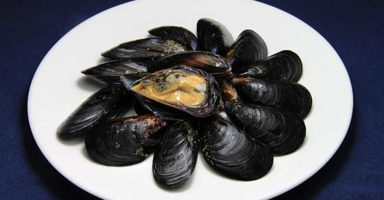 贻贝|虾|营养_新浪新闻