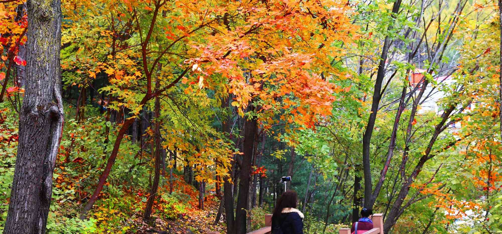 白山市是地级市 吉林省白山市属于什么市