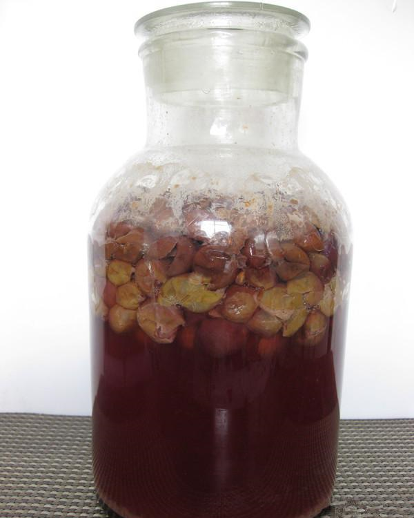 久点因为酿造的时间越长,酒味越浓,所以说现在你们知道了自酿葡萄酒时