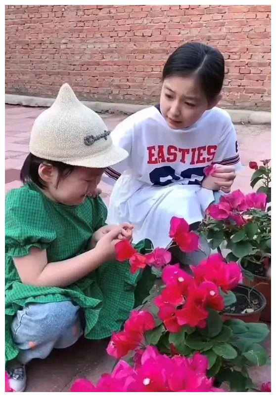 《乡村爱情》赵兰妮长大了,颜值一路飙升,气质不输陈艳楠