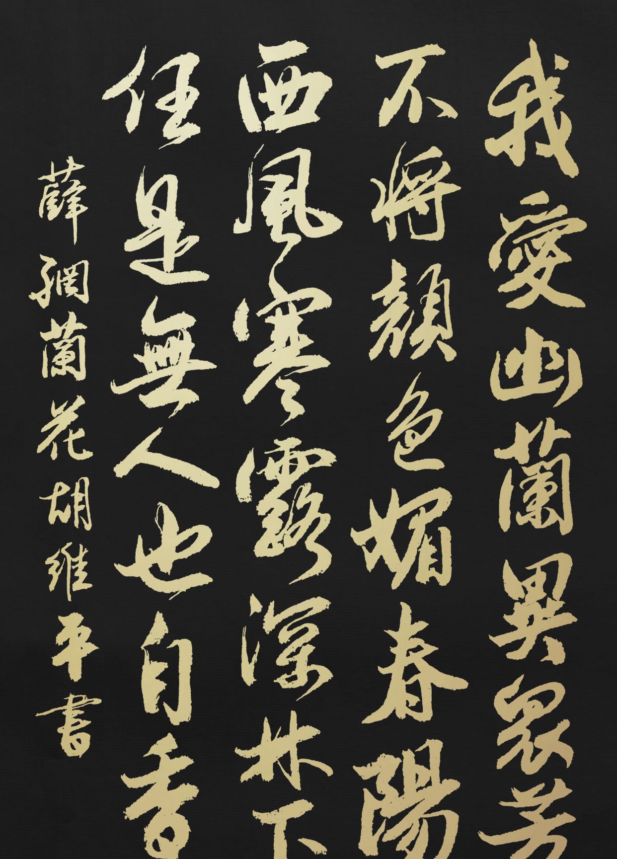 胡维平草书,行书,楷书作品(明)薛网《兰花》