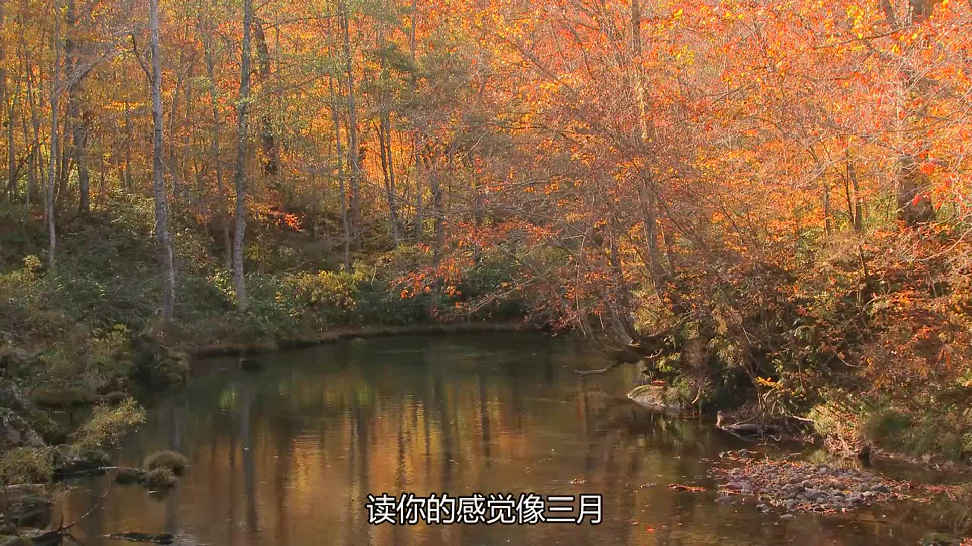 忽然就火起来的歌曲《费翔-读你》,使人如痴如醉