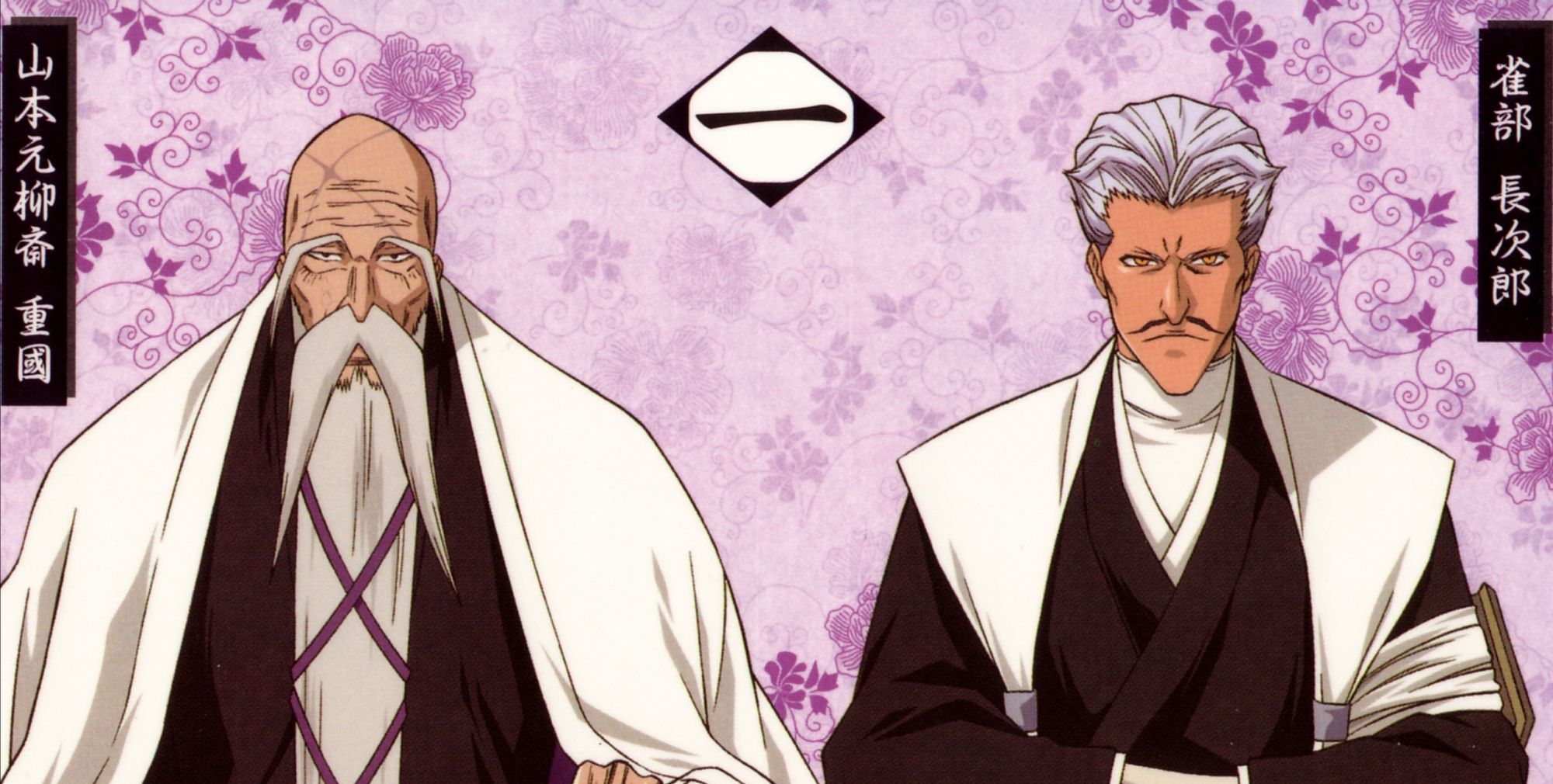 「死神」护庭十三队队长于与副队长图集_高清图集_新浪网