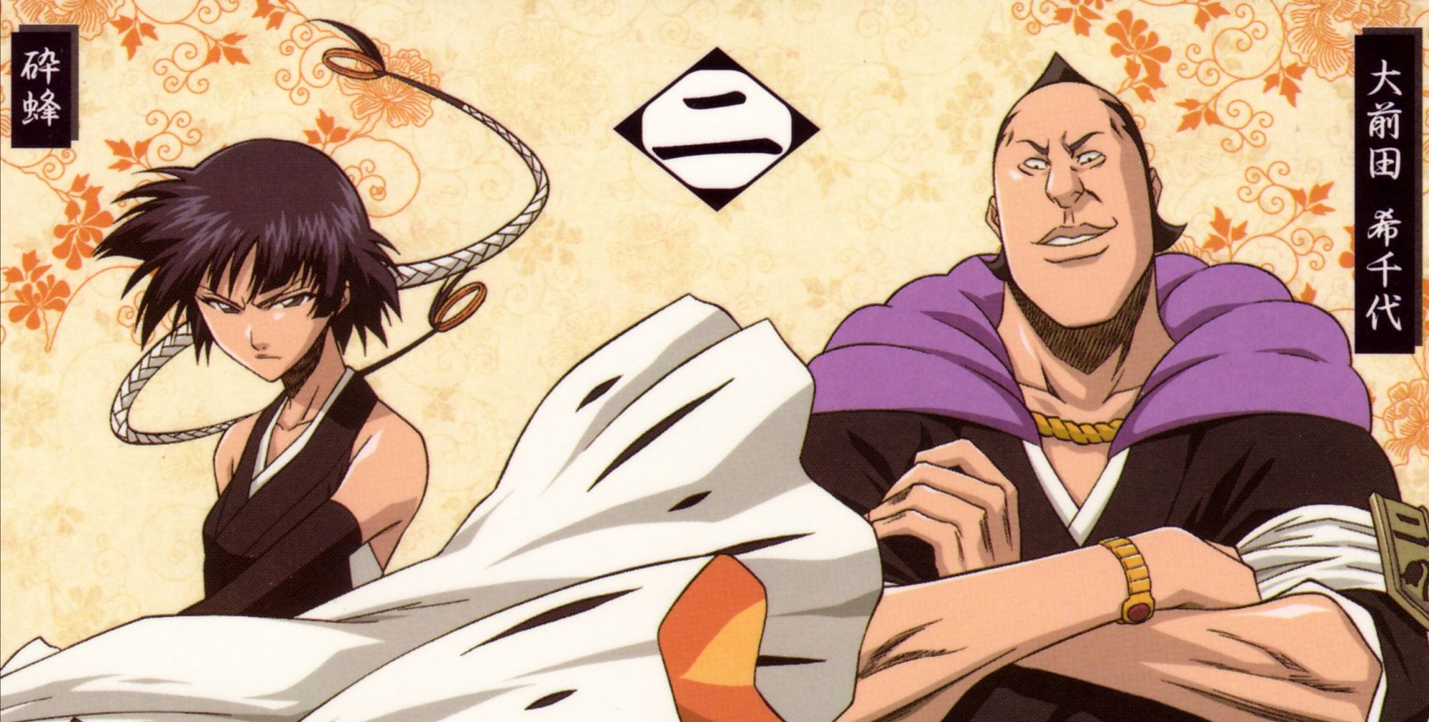 「死神」护庭十三队队长于与副队长图集