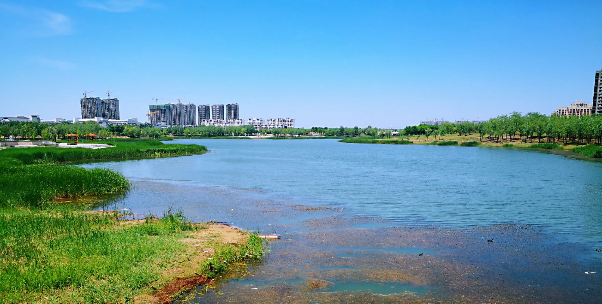 商圣故里,老家定陶,菏曹运河湿地公园