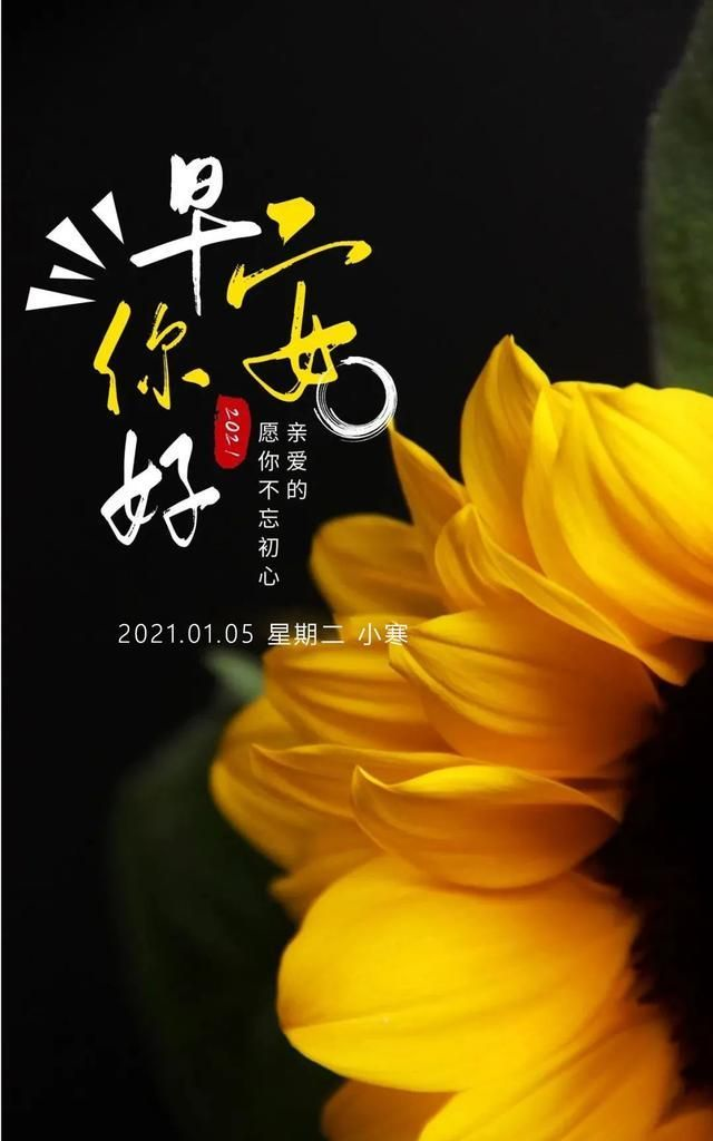 12张正能量早安图片带字,10句励志语录