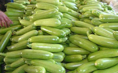 笋瓜的营养价值图片