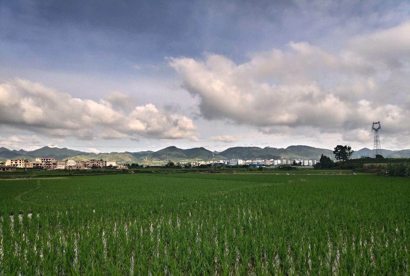 号称贵州省最大的平原,惠水涟江大坝