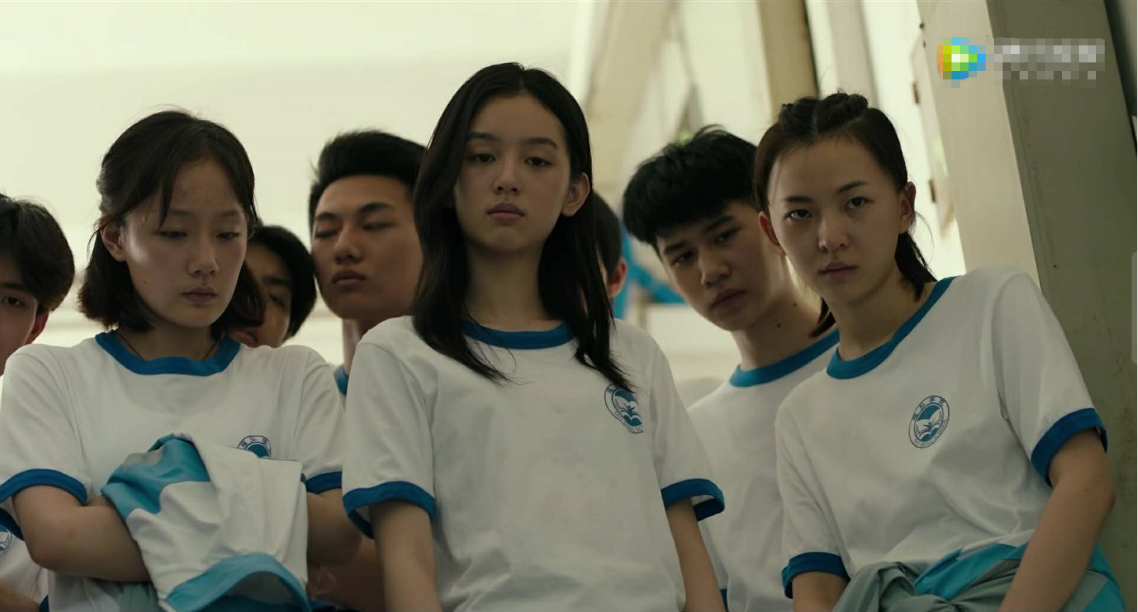 校园霸凌为何又上热搜少年的你早已揭示其根本原因