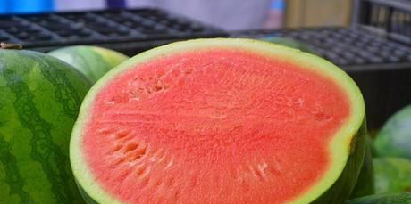 为什么有的西瓜里的籽是白色的，这样的西瓜能吃吗？是催熟的吗？休闲区蓝鸢梦想 - Www.slyday.coM