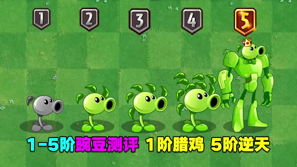 1-5阶豌豆射手测评:1阶刮痧,5阶超级碗豆发生质变!