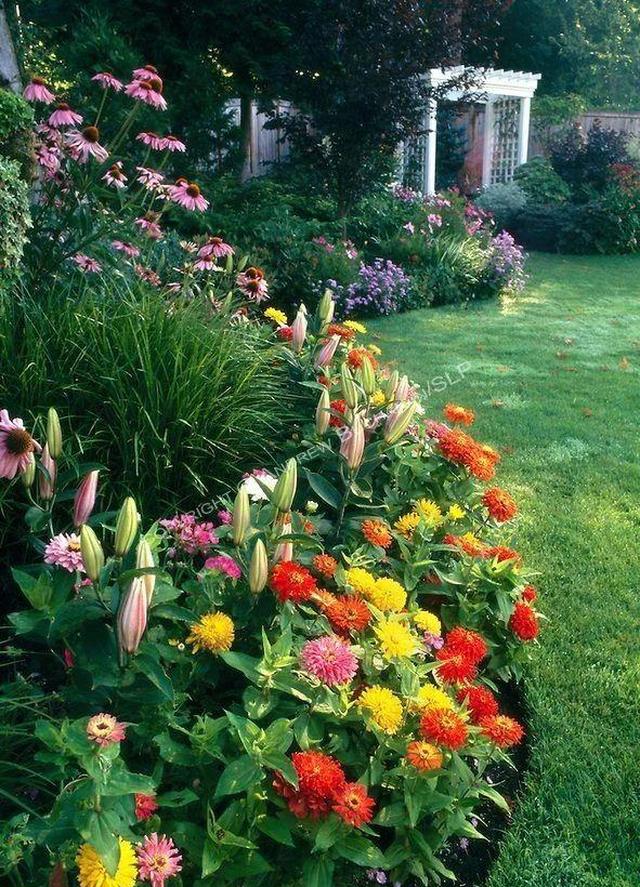 你的花园植物配置,形成的空间氛围,暴露了你的性格!