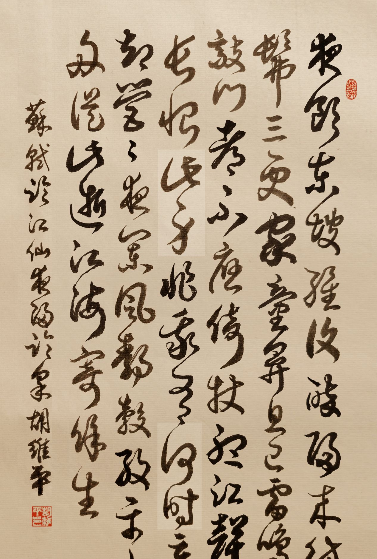 当代书法名家胡维平草书 苏轼《临江仙·夜归临皋》_高清图集_新浪网