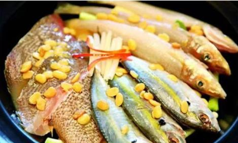 中国最好吃的4种鱼,味鲜肉嫩,有的可能你连名字都叫不出来休闲区蓝鸢梦想 - Www.slyday.coM 中国最好吃的4种鱼,味鲜肉嫩,有的可能你连名字都叫不出来休闲区蓝鸢梦想 - Www.slyday.coM