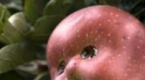 看了让人尴尬的水果，忍了榴莲和苹果，看到草莓，实在忍不住了休闲区蓝鸢梦想 - Www.slyday.coM