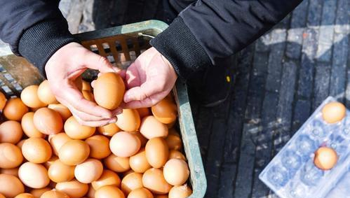 买鸡蛋千万别挑这4种,买来也不能吃,可别当耳旁风休闲区蓝鸢梦想 - Www.slyday.coM 买鸡蛋千万别挑这4种,买来也不能吃,可别当耳旁风休闲区蓝鸢梦想 - Www.slyday.coM