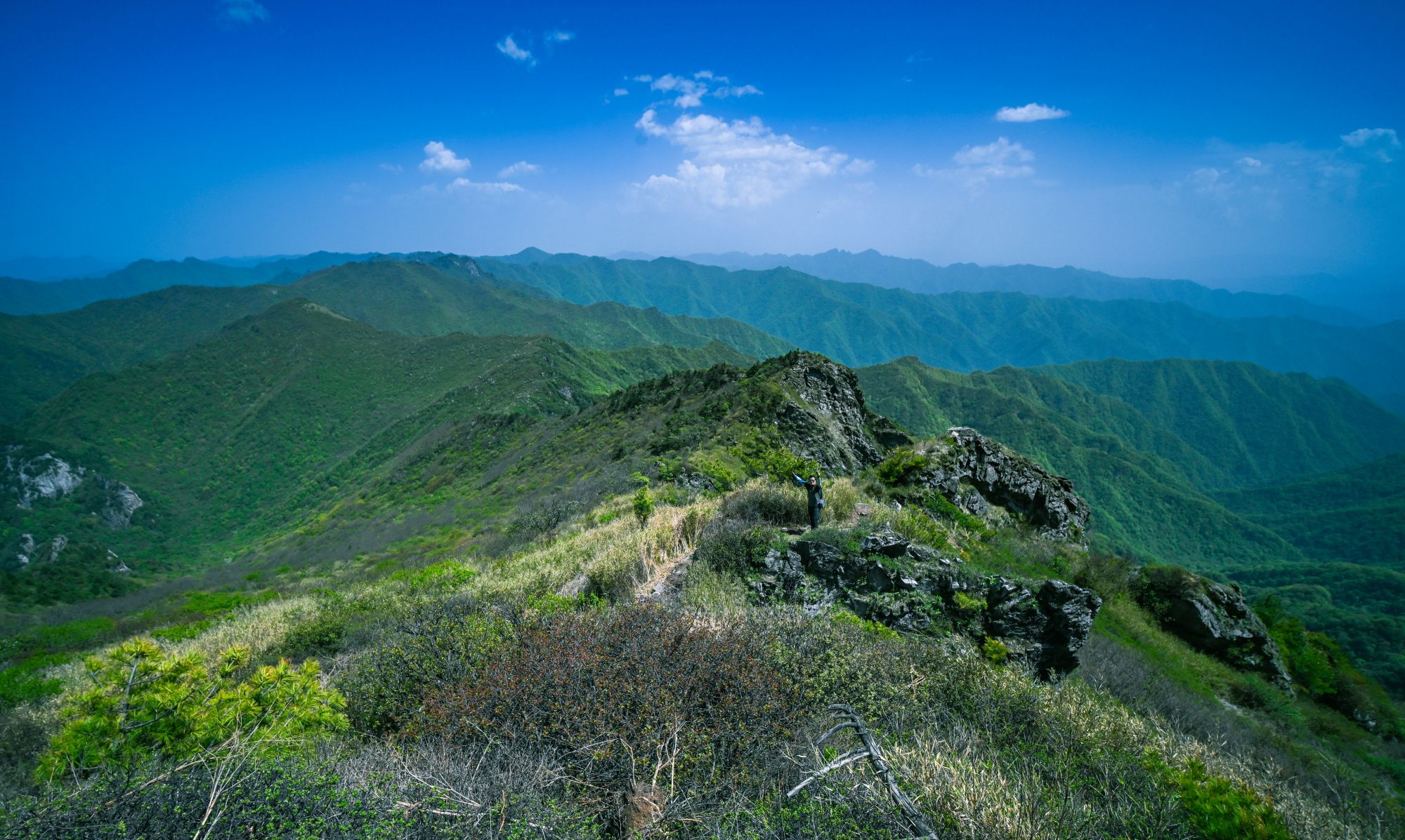 秦岭怪事(秦岭闹鬼事件)-第1张图片-鲸幼网