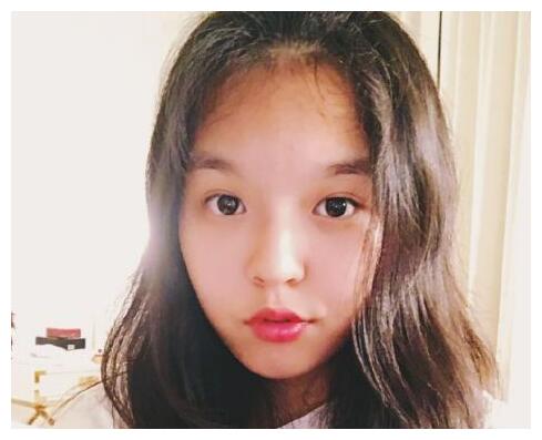 名车豪宅,18岁拿顶级大学录取通知书|法图麦|李咏|哈文_新浪新闻