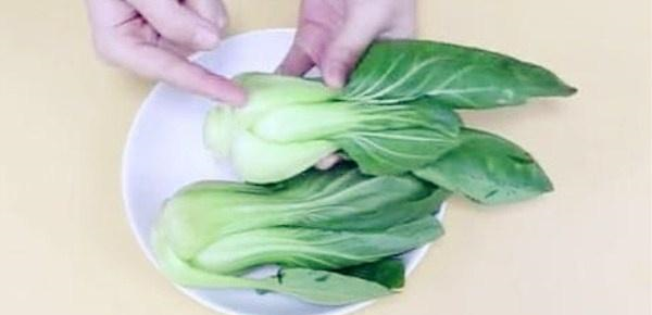 农民伯伯：买青菜时，这5种状况的青菜，不要买，买了也不要吃休闲区蓝鸢梦想 - Www.slyday.coM