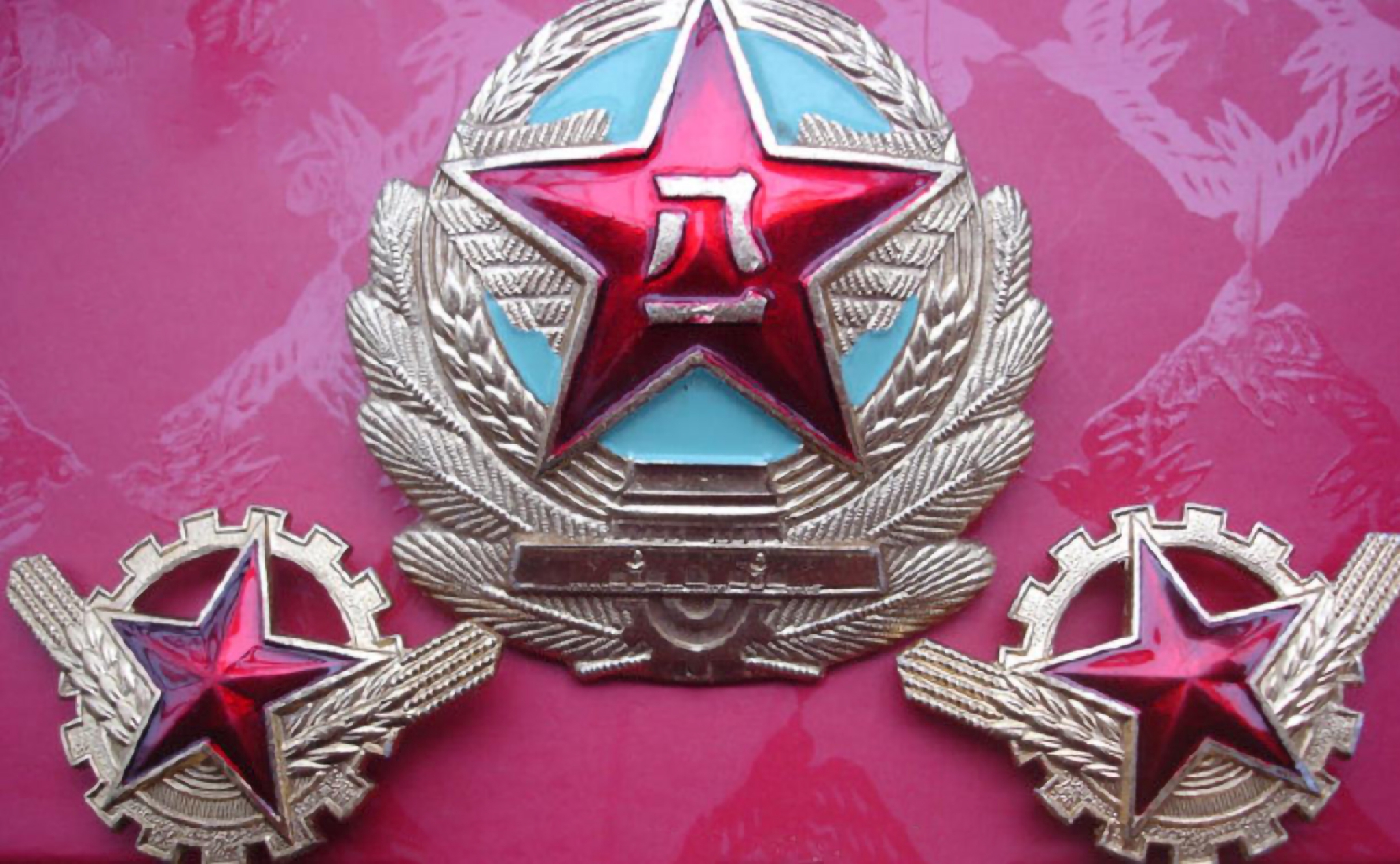 87式军服的领花.