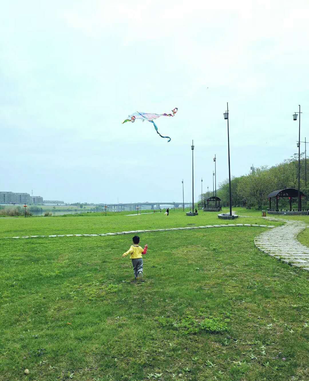 人间四月天,江心公园的草地上,来看看放风筝的人们