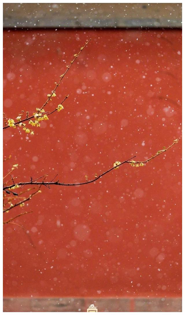 故宫的那抹红色真的是美到骨子里了__财经头条