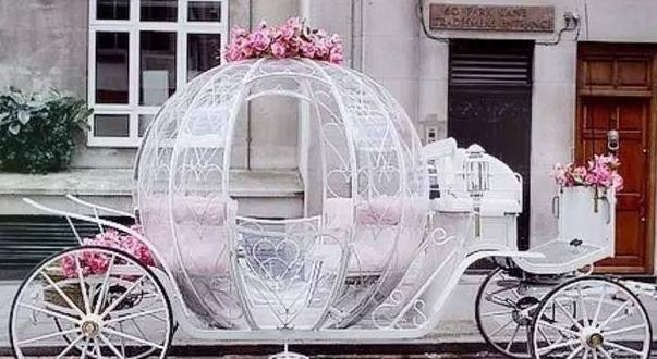 十二星座专属灰姑娘南瓜车双鱼座梦幻王国天蝎座的只能远观