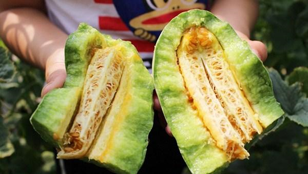 怎样挑选羊角蜜 558e-c61ec8cee1ddbd591fca8c8511094928.png