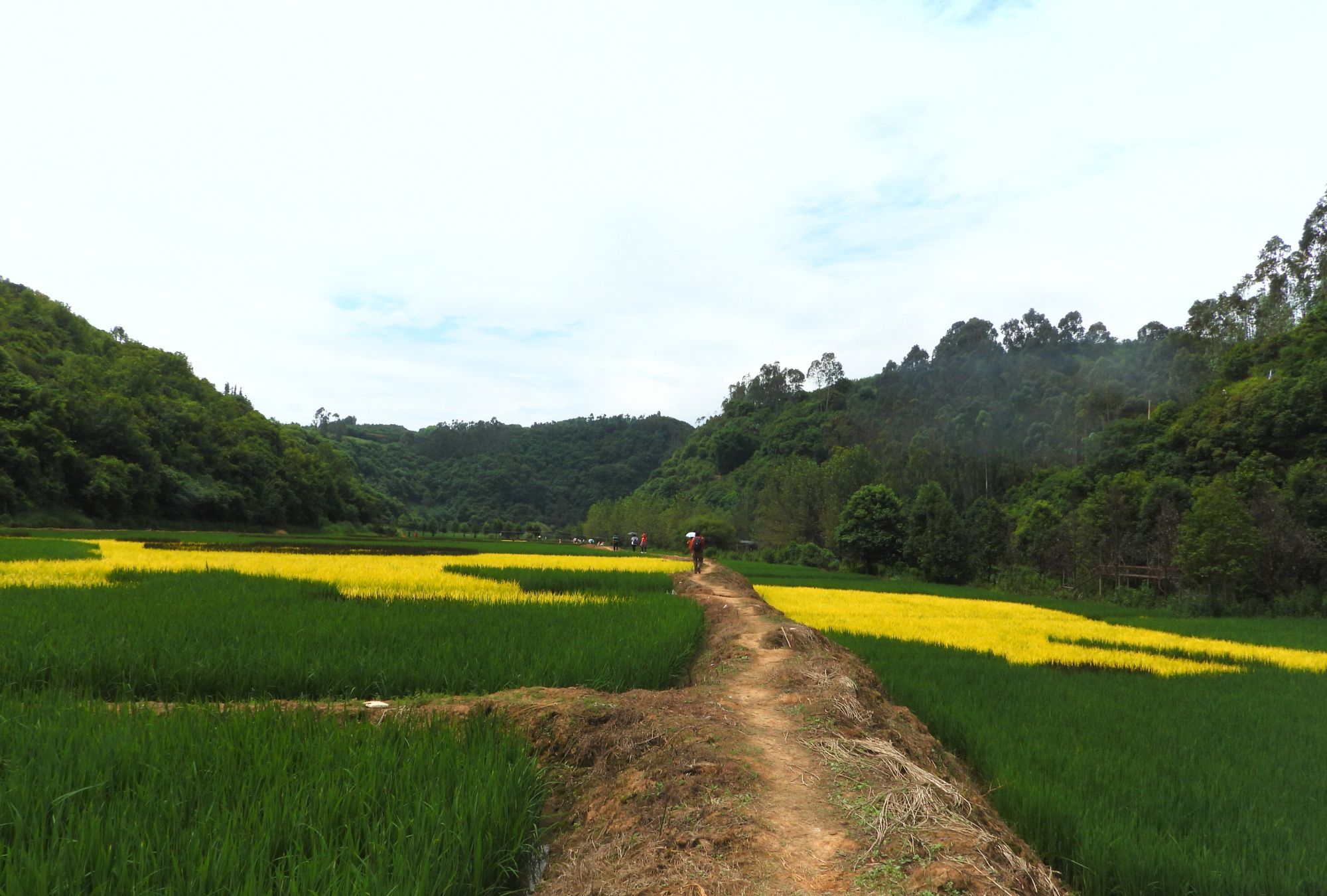昆明宜良马蹄湾彩色田园风光,魅力无限,游玩的好地方