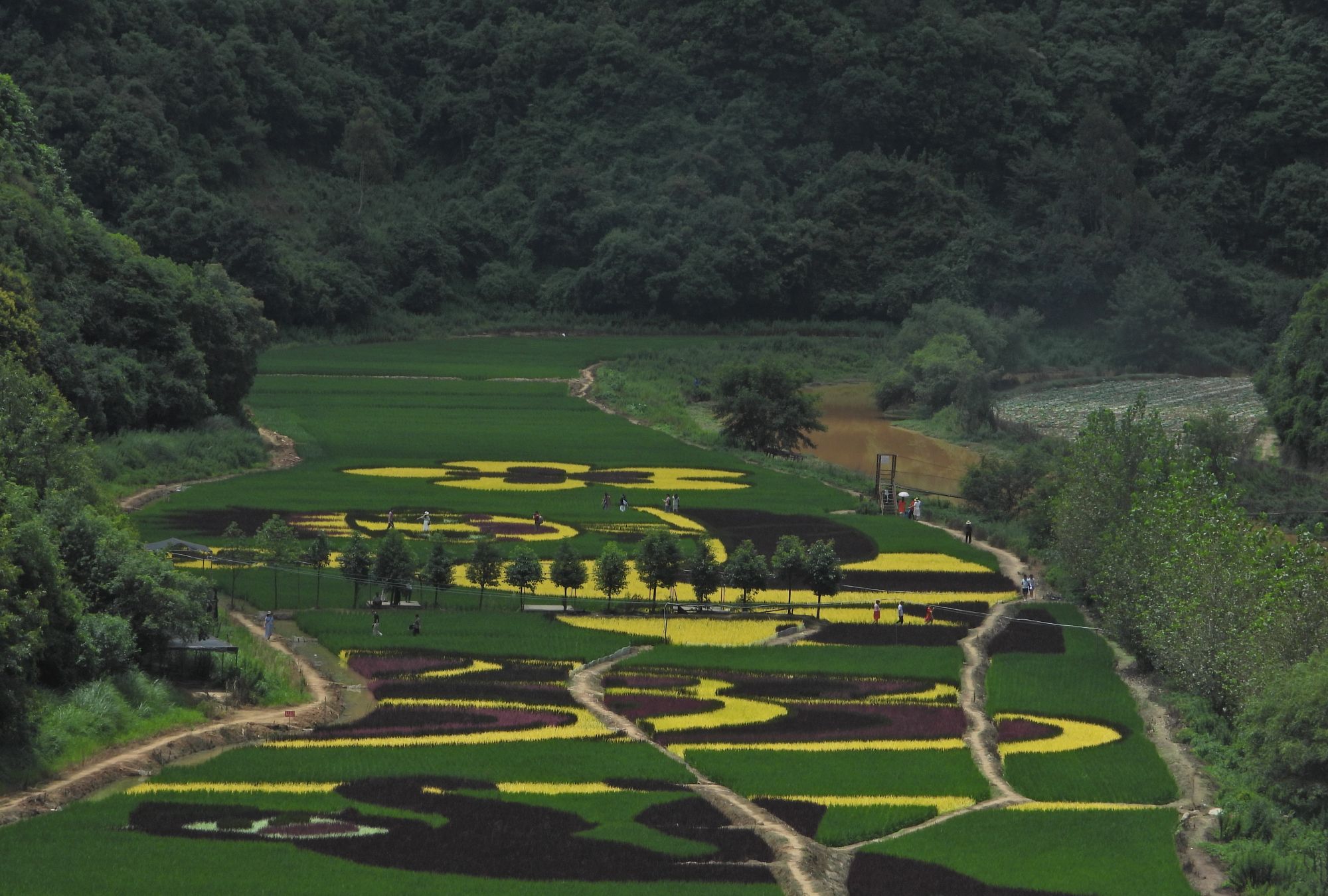 昆明宜良马蹄湾彩色田园风光,魅力无限,游玩的好地方