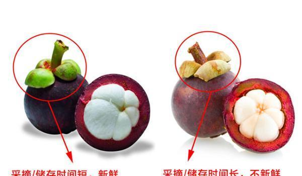 爱吃山竹不会挑6个实用方法教给你再买山竹不吃亏