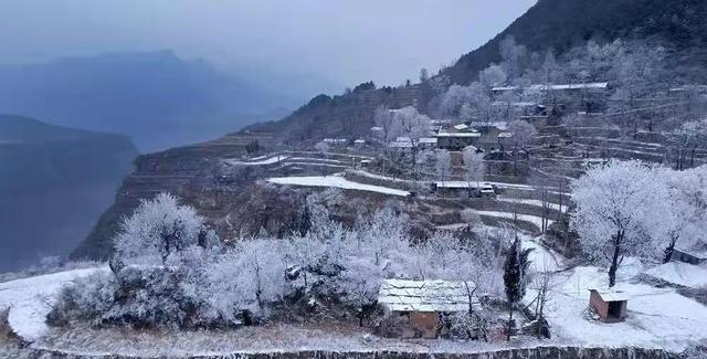 河南农村雪景图片