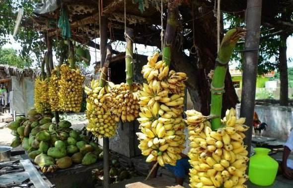 中国人把“它”当垃圾丢掉，<a href=