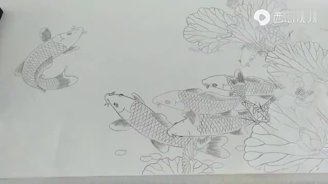 工笔《连年有余》白描稿收尾了.