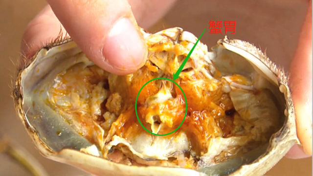 吃螃蟹时,这"4个"部位千万别吃,很多人不知道,你一定要注意__财经头条