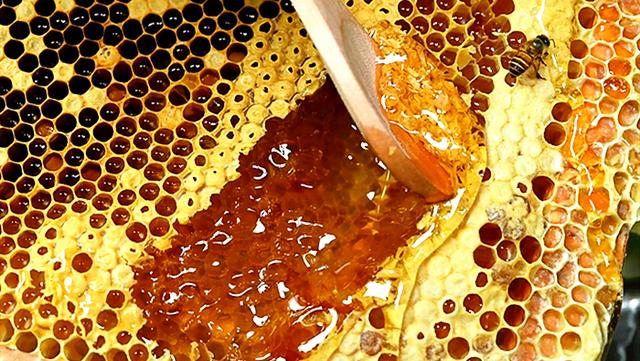 影响蜂蜜结晶的因素有4个,分别是:晶核,温度,水分和蜜源种类.