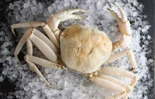 中国最珍贵的“顶级食材”，家里有矿才吃得起，一般人看看就好！休闲区蓝鸢梦想 - Www.slyday.coM