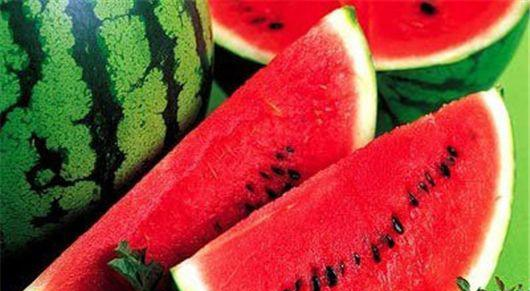 西瓜是什么时候种最好 3503-1055306c614c3835d2b2e3595ee2fdc1.png
