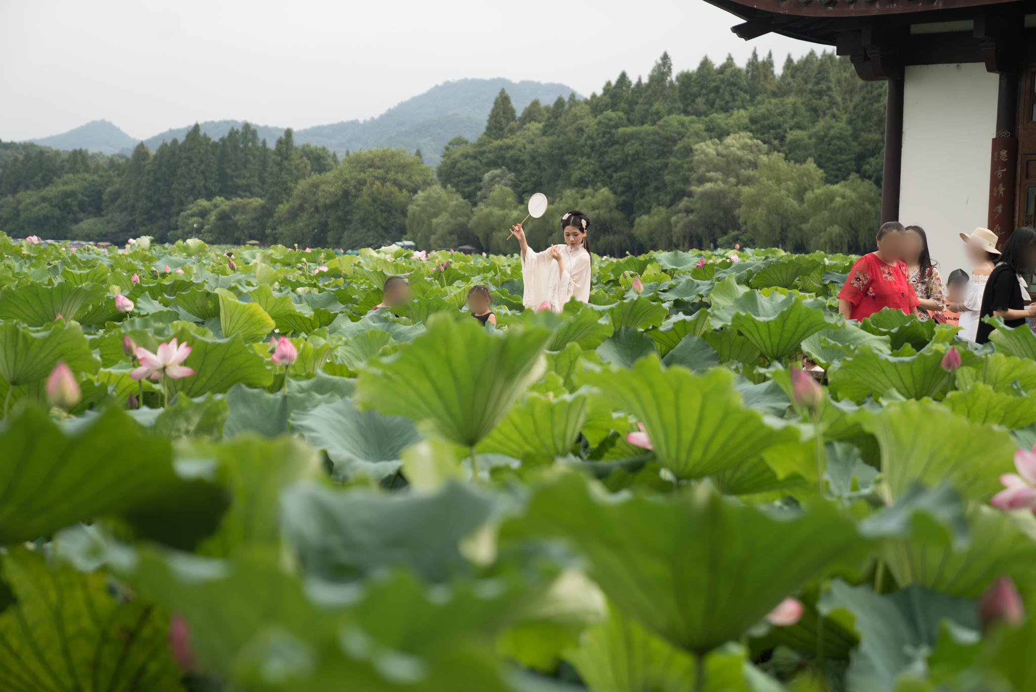 青绿色的古风色调怎么修?我来教你