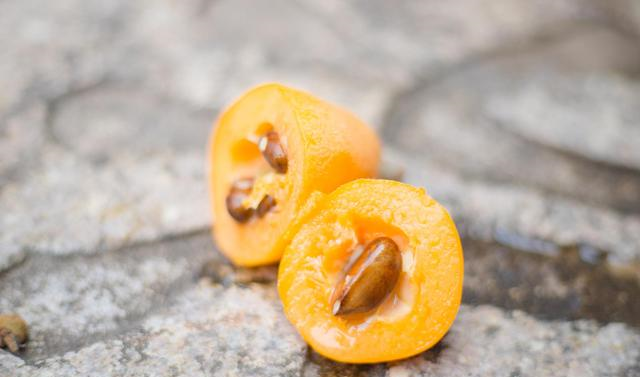 由于枇杷仁中含有苦杏仁苷,食用后会引起中毒,所以大家在食用枇杷时