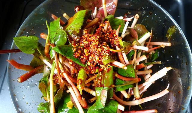 凉拌折耳根最好吃的做法简单美味上桌秒光比大鱼大肉还好吃