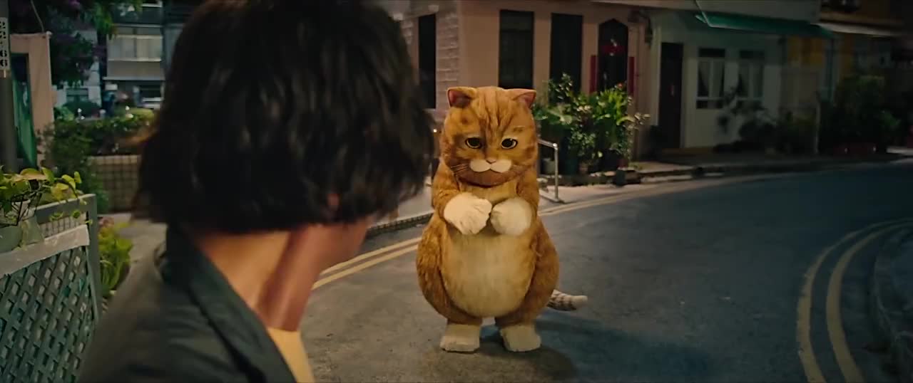 喵星人这猫也太大了把妈妈吓坏了