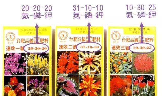 想植物多开花 选对肥料是基础 学会施肥是关键 想植物多开花 选对肥料是基础 学会施肥是关键