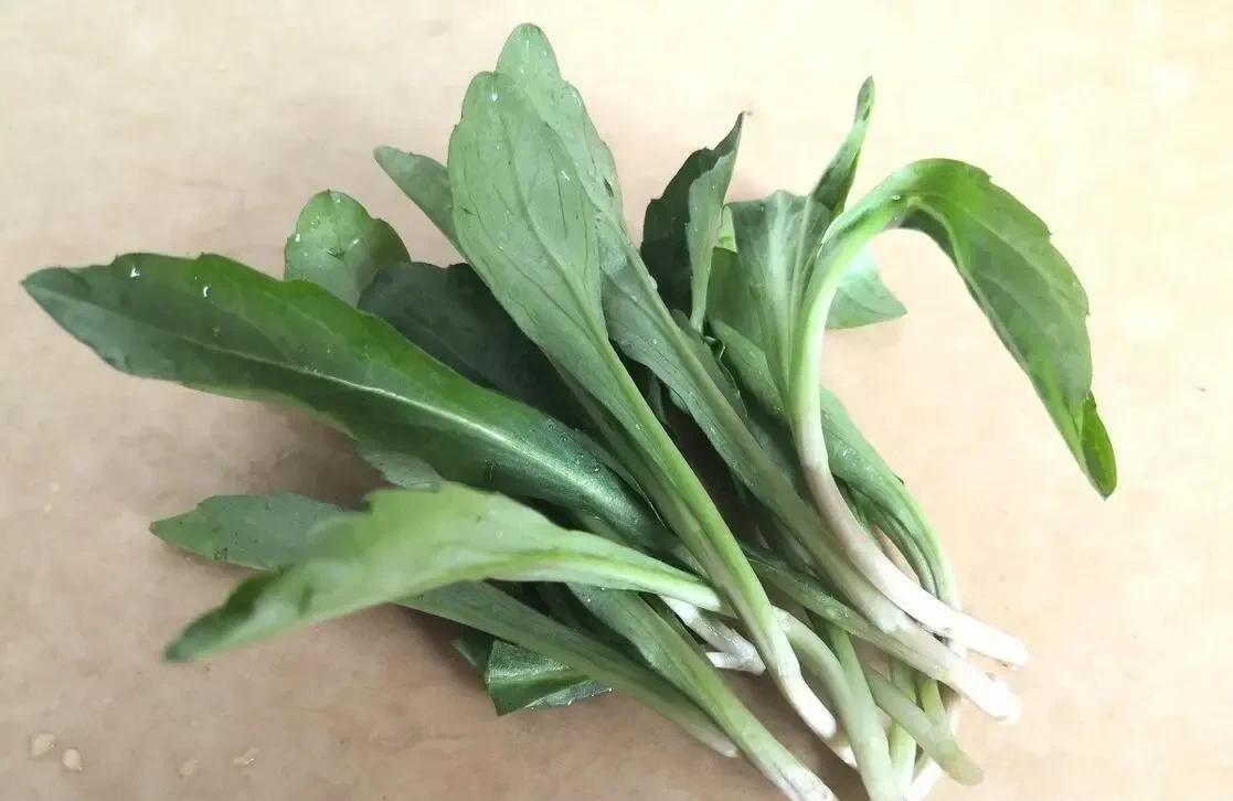 这个野菜我们称之为鱼鳅串.