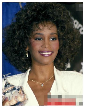 2012年惠特尼休斯顿浴缸溺水停止呼吸3年后女儿尸体也躺在浴缸