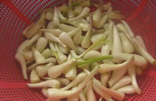 它是菜中的灵芝,饭前饭后来几颗,不打郎中门前过!夏季要多吃休闲区蓝鸢梦想 - Www.slyday.coM 它是菜中的灵芝,饭前饭后来几颗,不打郎中门前过!夏季要多吃休闲区蓝鸢梦想 - Www.slyday.coM