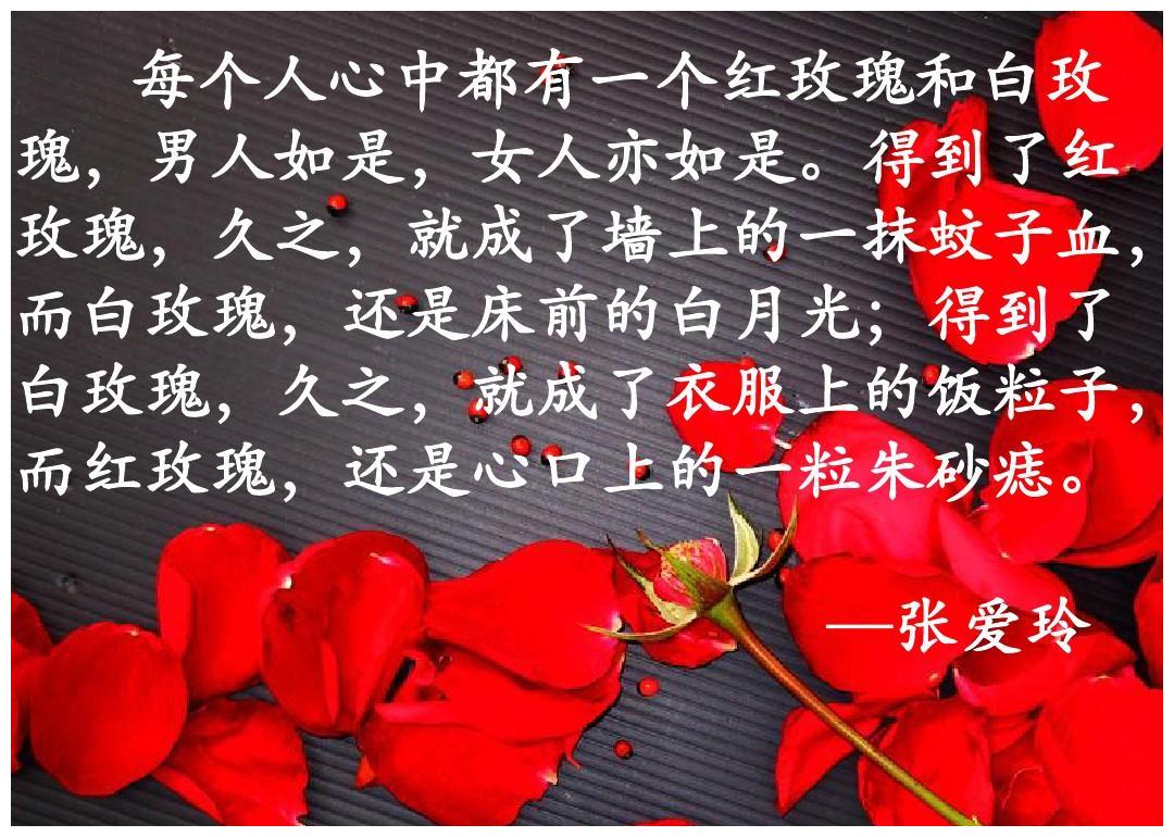 抛弃丈夫陈国星净身出户,携女再嫁小10岁二婚男星